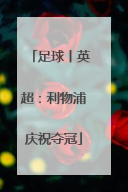 足球丨英超：利物浦庆祝夺冠