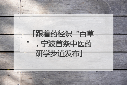 跟着药径识“百草”，宁波首条中医药研学步道发布