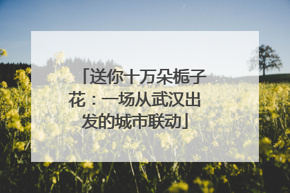 送你十万朵栀子花：一场从武汉出发的城市联动