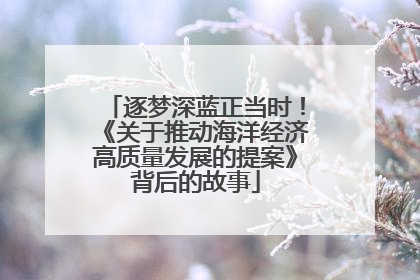 逐梦深蓝正当时！《关于推动海洋经济高质量发展的提案》背后的故事