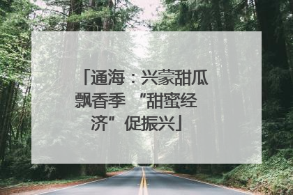 通海：兴蒙甜瓜飘香季 “甜蜜经济”促振兴