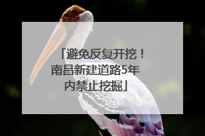 避免反复开挖！南昌新建道路5年内禁止挖掘