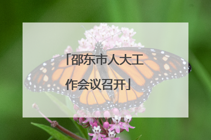 邵东市人大工作会议召开