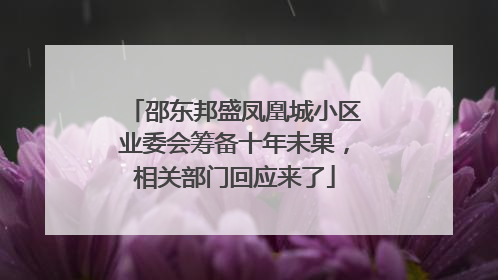 邵东邦盛凤凰城小区业委会筹备十年未果，相关部门回应来了