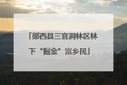 郧西县三官洞林区林下“掘金”富乡民