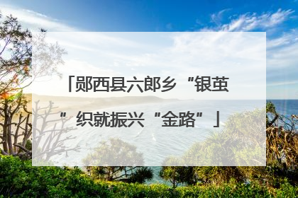 郧西县六郎乡“银茧”织就振兴“金路”
