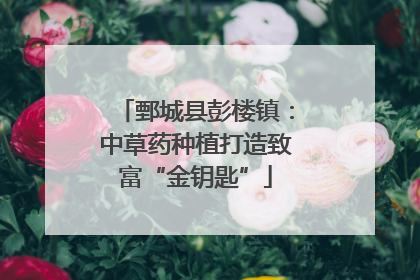鄄城县彭楼镇：中草药种植打造致富“金钥匙”