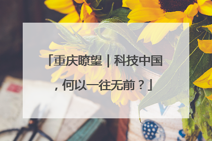 重庆瞭望｜科技中国，何以一往无前？