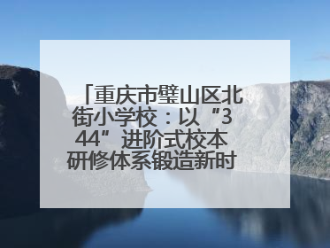 重庆市璧山区北街小学校：以“344”进阶式校本研修体系锻造新时代强师