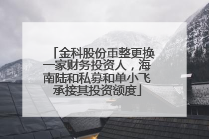 金科股份重整更换一家财务投资人，海南陆和私募和单小飞承接其投资额度
