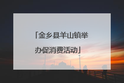 金乡县羊山镇举办促消费活动