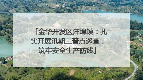 金华开发区洋埠镇：扎实开展汛期三普点巡查，筑牢安全生产防线
