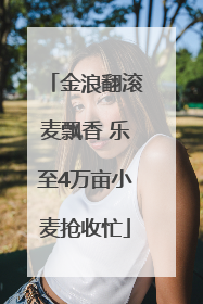 金浪翻滚麦飘香 乐至4万亩小麦抢收忙