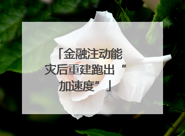 金融注动能 灾后重建跑出“加速度”