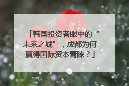韩国投资者眼中的“未来之城”，成都为何赢得国际资本青睐？