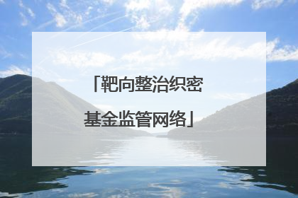 靶向整治织密基金监管网络