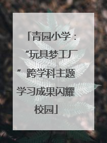 青园小学：“玩具梦工厂”跨学科主题学习成果闪耀校园
