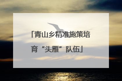 青山乡精准施策培育“头雁”队伍