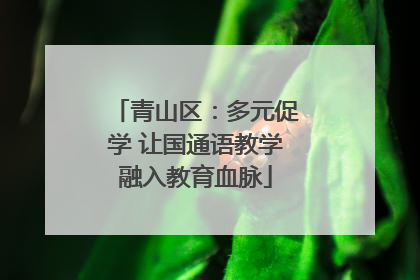 青山区：多元促学 让国通语教学融入教育血脉