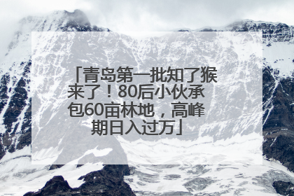 青岛第一批知了猴来了！80后小伙承包60亩林地，高峰期日入过万
