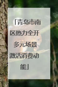 青岛市南区热力全开 多元场景激活消费动能