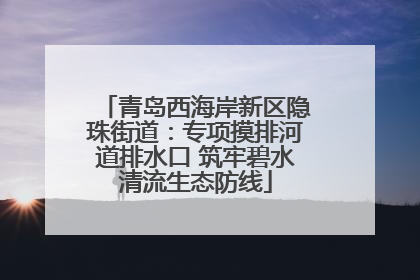 青岛西海岸新区隐珠街道：专项摸排河道排水口 筑牢碧水清流生态防线