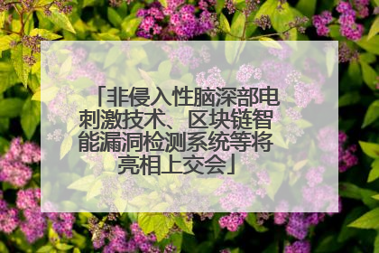 非侵入性脑深部电刺激技术、区块链智能漏洞检测系统等将亮相上交会