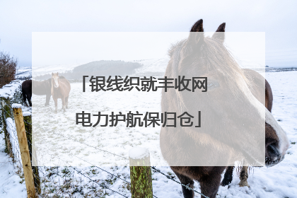 银线织就丰收网 电力护航保归仓