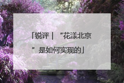 锐评｜“花漾北京”是如何实现的