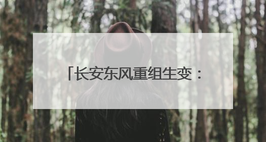 长安东风重组生变：分立先行 整合待考