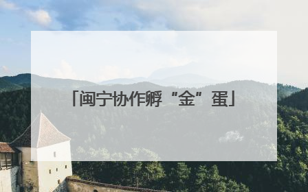 闽宁协作孵“金”蛋