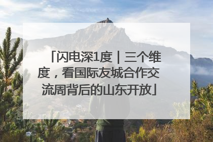 闪电深1度｜三个维度，看国际友城合作交流周背后的山东开放