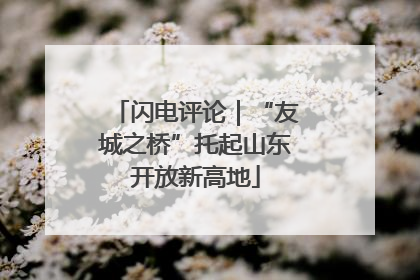 闪电评论｜“友城之桥”托起山东开放新高地