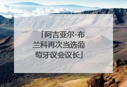 阿吉亚尔-布兰科再次当选葡萄牙议会议长