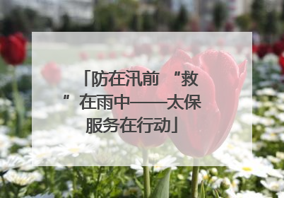 防在汛前 “救”在雨中——太保服务在行动