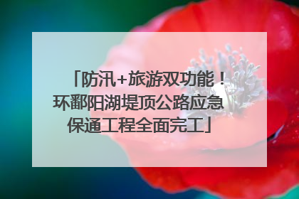 防汛+旅游双功能！环鄱阳湖堤顶公路应急保通工程全面完工