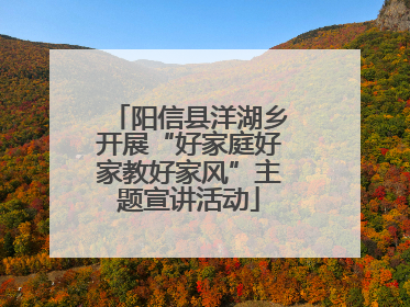 阳信县洋湖乡开展“好家庭好家教好家风”主题宣讲活动
