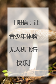 阳信：让青少年体验无人机飞行快乐