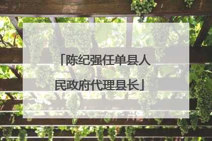 陈纪强任单县人民政府代理县长