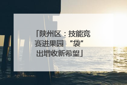 陕州区：技能竞赛进果园 “袋”出增收新希望