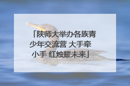 陕师大举办各族青少年交流营 大手牵小手 红烛耀未来