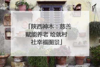 陕西神木：慈善赋能养老 绘就村社幸福图景