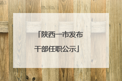 陕西一市发布干部任职公示
