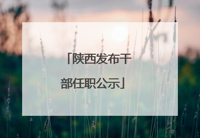 陕西发布干部任职公示