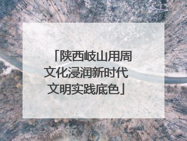 陕西岐山用周文化浸润新时代文明实践底色