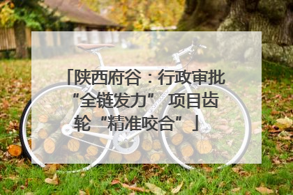 陕西府谷：行政审批“全链发力” 项目齿轮“精准咬合”