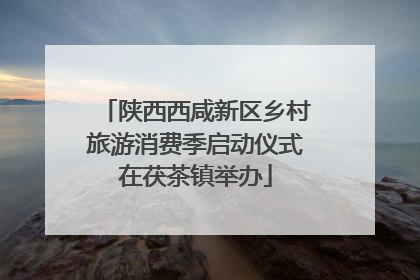 陕西西咸新区乡村旅游消费季启动仪式在茯茶镇举办
