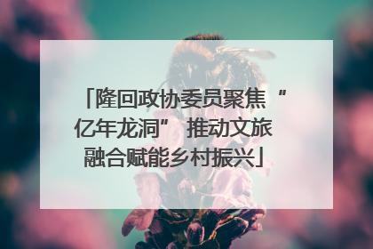隆回政协委员聚焦“亿年龙洞” 推动文旅融合赋能乡村振兴
