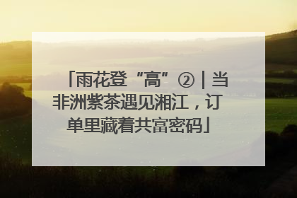 雨花登“高”②｜当非洲紫茶遇见湘江，订单里藏着共富密码