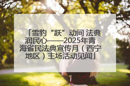 雪豹“跃”动间 法典润民心——2025年青海省民法典宣传月（西宁地区）主场活动见闻